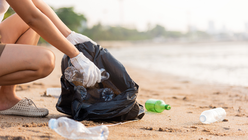 10 Simple Ways to Help Protect the Ocean and Marine Wildlife